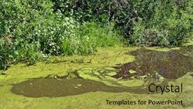  Presentation with lake - Colorful presentation design enhanced with effluent - lake coated by duckweed backdrop and a gold colored foreground