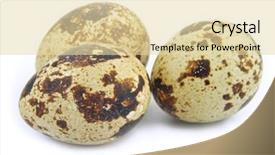  Presentation with quail - Colorful slide deck enhanced with group of three quail's eggs backdrop and a lemonade colored foreground
