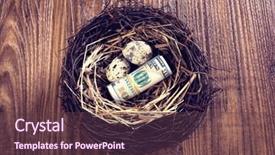  Presentation with birds - Presentation design having dollar bills and egg background and a tawny brown colored foreground