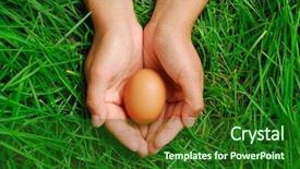  Presentation with green grass under the snow - Presentation having egg in hand with green background and a forest green colored foreground
