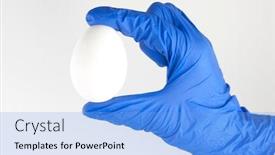  Presentation with egg - PPT layouts having egg-in-the-scientist-s background and a light blue colored foreground
