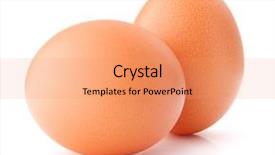  Presentation with egg - Presentation theme consisting of egg isolated on white background cutout background and a coral colored foreground