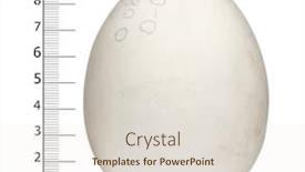  Presentation with egg - PPT layouts consisting of egg-of-griffon-vulture background and a lemonade colored foreground