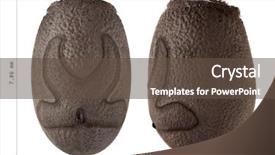  Presentation with jungle - Audience pleasing slide deck consisting of egg of malaysian jungle nymph backdrop and a tawny brown colored foreground