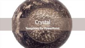  Presentation with egg - Amazing slide set having egg of stick insects - peruphasma backdrop and a gray colored foreground