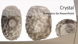  Presentation with audit stick figures - Presentation design having egg of stick insects - pseudophasma background and a white colored foreground