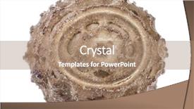  Presentation with insect - Presentation design with egg of stick insects - pseudophasma background and a coral colored foreground