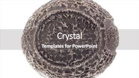  Presentation with plant insects - Amazing presentation design having egg of stick insects - tisamenus backdrop and a gray colored foreground