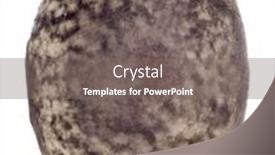  Presentation with egg - Beautiful PPT theme featuring egg-of-stick-insects-peruphasma backdrop and a  colored foreground