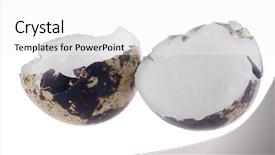  Presentation with broken egg - PPT layouts having egg shell isolated on white background and a white colored foreground