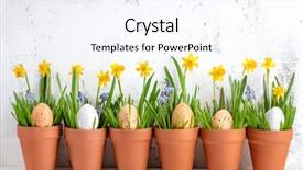  Presentation with daffodil - Presentation theme featuring egg with grass and daffodil background and a sky blue colored foreground