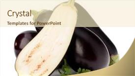  Presentation with eggplant - Colorful slides enhanced with eggplant or aubergine and parsley backdrop and a cream colored foreground