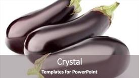  Presentation with eggplant - Slide set consisting of eggplant or aubergine vegetable isolated on white background cutout background and a gray colored foreground