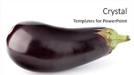  Presentation with eggplant - PPT theme consisting of eggplant or aubergine vegetable isolated background and a white colored foreground