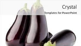  Presentation with eggplant - Beautiful PPT theme featuring eggplant or aubergine vegetable isolated backdrop and a white colored foreground