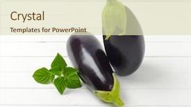  Presentation with sage - Presentation design having eggplants and sage on white background and a soft green colored foreground