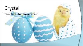  Presentation with baby chickens little cute chicks - Amazing theme having eggs and cute little chick backdrop and a white colored foreground