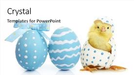  Presentation with chick - Theme with eggs and cute little chick background and a white colored foreground