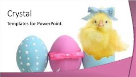  Presentation with pink and blue acrylic - Theme with eggs and cute little chick background and a white colored foreground