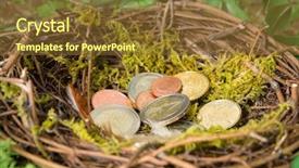  Presentation with bird eggs - Slides enhanced with eggs euro - saved money hidden background and a tawny brown colored foreground