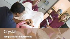  Presentation with ovary - Beautiful presentation featuring eggs from ovary using vaginal backdrop and a coral colored foreground