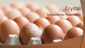  Presentation with feather - Audience pleasing slides consisting of eggs in a box with a feather in the foreground backdrop and a lemonade colored foreground