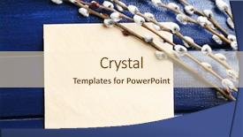  Presentation with bird eggs - Presentation theme enhanced with eggs in nest and pussy background and a cream colored foreground