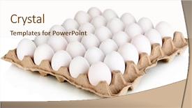  Presentation with egg - Cool new PPT theme with eggs in paper tray isolated backdrop and a sky blue colored foreground