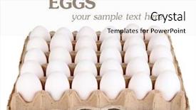  Presentation with egg - Audience pleasing slide set consisting of eggs in paper tray isolated backdrop and a white colored foreground