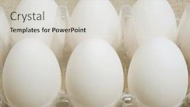  Presentation with plastic container - Presentation theme with eggs in plastic container background and a light gray colored foreground