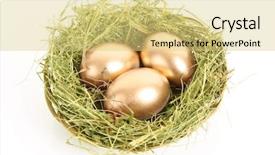  Presentation with hen - Audience pleasing theme consisting of eggs in the grassy nest backdrop and a yellow colored foreground