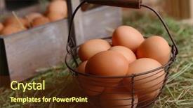  Presentation with wicker - Cool new presentation with organic products - eggs in wicker basket backdrop and a tawny brown colored foreground