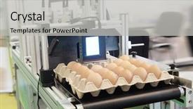  Presentation with automotive industry manufacture line - PPT layouts having eggs industry - industrial eggs packaging line background and a light gray colored foreground