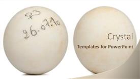  Presentation with tortoise - Colorful PPT theme enhanced with eggs-of-radiated-tortoise-astrochelys backdrop and a lemonade colored foreground