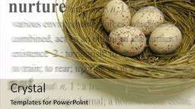  Presentation with nurture - Cool new PPT theme with eggs with a nurture theme backdrop and a mint green colored foreground