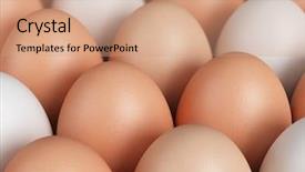  Presentation with egg - Cool new slide deck with eggs backdrop and a coral colored foreground