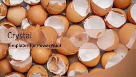  Presentation with chicken - Presentation design enhanced with eggshell - broken chicken empty brown eggshels background and a coral colored foreground