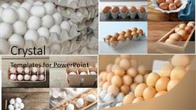  Presentation with chicken - Audience pleasing slide deck consisting of eggshell - collage with chicken eggs backdrop and a coral colored foreground