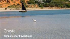  Presentation with fish beach - Presentation design featuring egret-with-a-fish background and a gray colored foreground