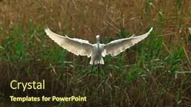  Presentation with waterland - 