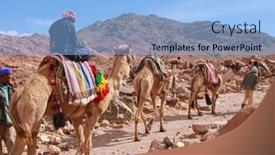  Presentation with summit - PPT layouts consisting of egypt-february-5-camel-guide background and a light blue colored foreground