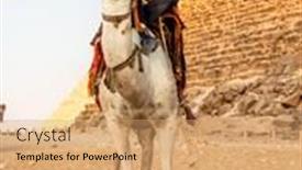  Presentation with camel - 