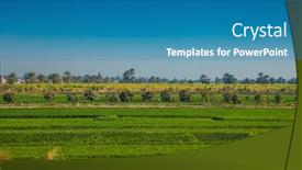  Presentation with canal irrigation - Presentation theme consisting of egyptian-cantryside-near-the-nile background and a teal colored foreground