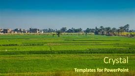  Presentation with canal irrigation - Audience pleasing presentation consisting of egyptian-cantryside-near-the-nile backdrop and a tawny brown colored foreground