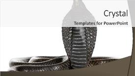  Presentation with egyptian - Beautiful presentation theme featuring egyptian cobra - naja haje backdrop and a white colored foreground