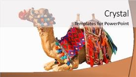  Presentation with camel - Amazing PPT theme having egyptian decorated camel with saddle backdrop and a white colored foreground
