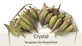  Presentation with okra - Theme consisting of egyptian okra on a chain background and a coral colored foreground
