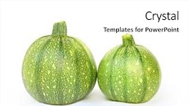  Presentation with eight - PPT layouts featuring eight ball squash or zucchini background and a white colored foreground