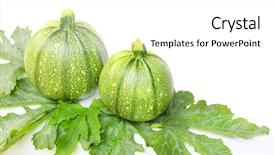  Presentation with eight - Amazing PPT layouts having eight ball squash or zucchini backdrop and a white colored foreground