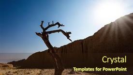  Presentation with november - Audience pleasing presentation theme consisting of eilat-israel-entrance backdrop and a wine colored foreground